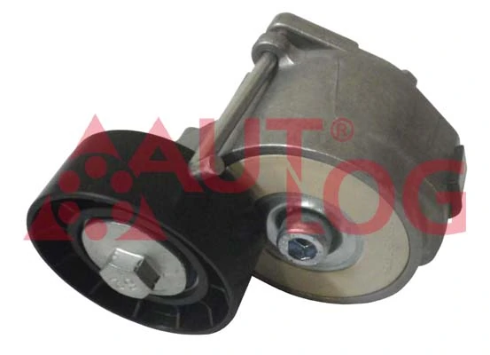 Reguladora de tensão da correia de transmissão Alfa Romeo 147 937