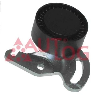 Rolo de reguladora de tensão da correia de transmissão Renault Megane 2 LM0, LM1