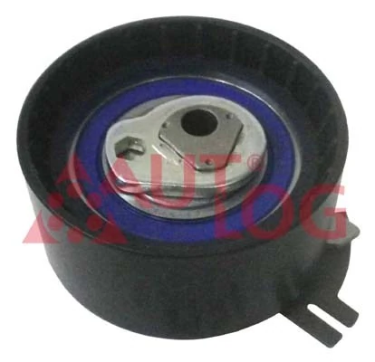  Rolo de reguladora de tensão da correia do mecanismo de distribuição de gás Renault Espace IV monovolume (JK0) (2002 - 2026) IV