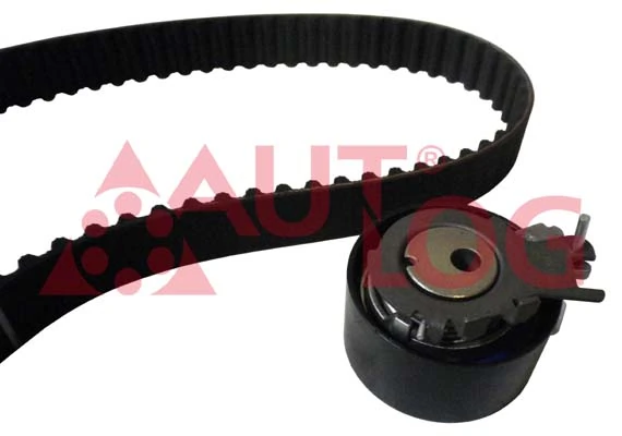Купить 1611259280 Peugeot/Citroen Комплект ГРМ