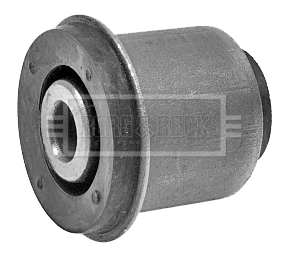 SAS4001532 Sasic Сайлентблок нижнего переднего рычага