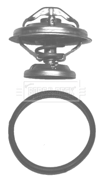 Termostato SsangYong Korando  