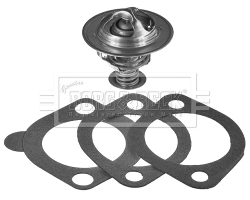TE0398 Magneti Marelli Авто термостат