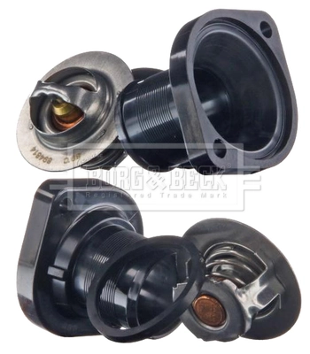  Termostato Citroen Xsara Picasso monovolume (N68) (2000 - 2010) Picasso