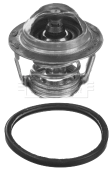 Купить TE0191 Magneti Marelli Автомобильный термостат