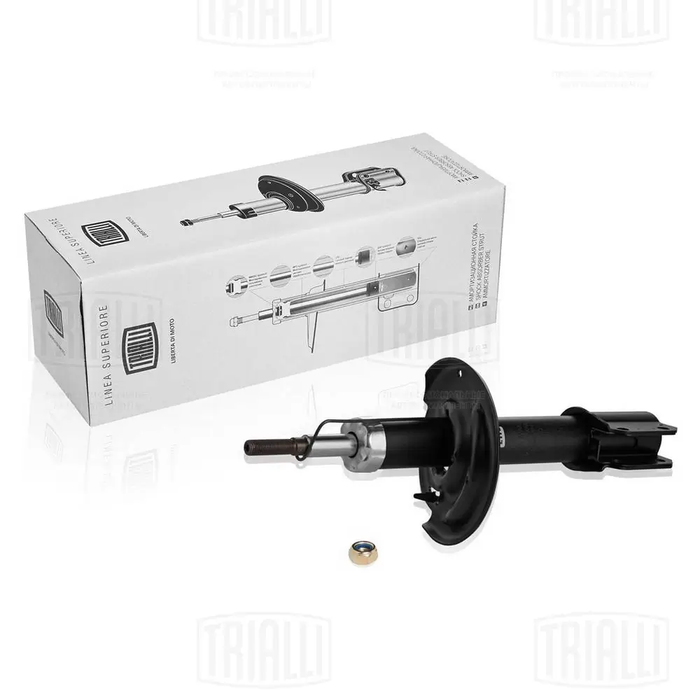 Amortecedor dianteiro Dacia Logan 2 L8_