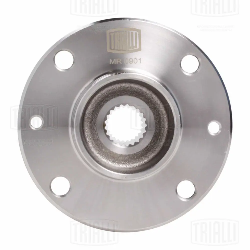 Cubo dianteiro Renault 19 2 B53, C53