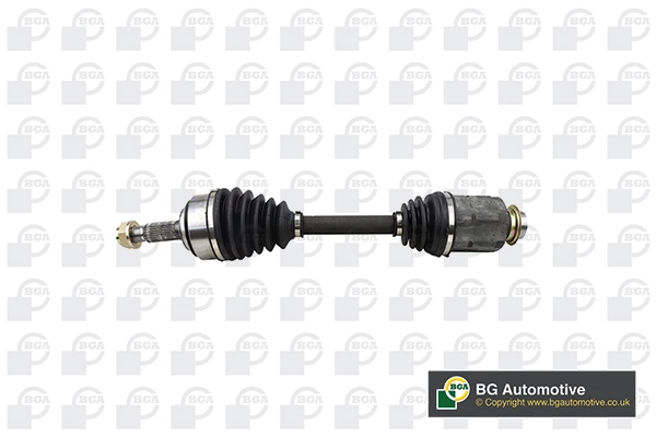 DS2511RA BGA