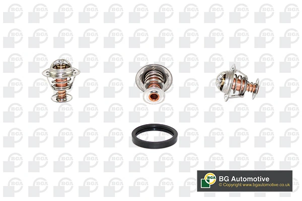 Termostato Nissan Primera P10