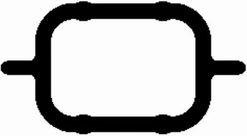 Vedante de tubo coletor de admissão BMW 7 E65, E66, E67