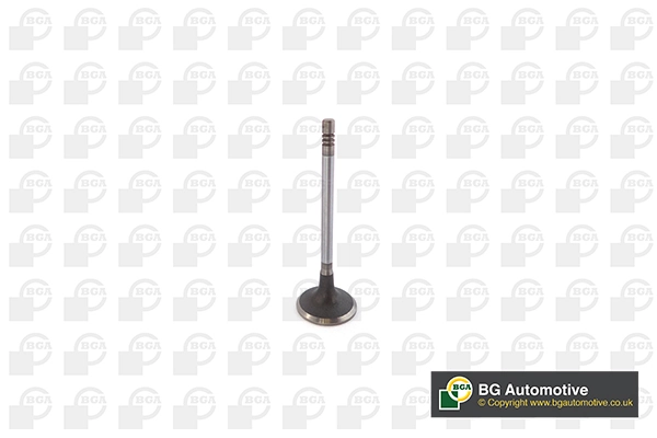 AV6Q6507AA Ford Впускной клапан