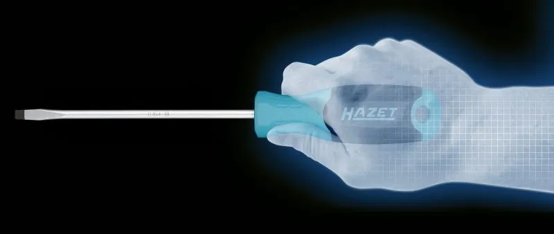8116 Hazet 