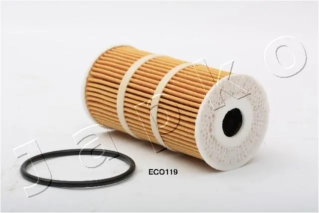 1ECO119 Japko