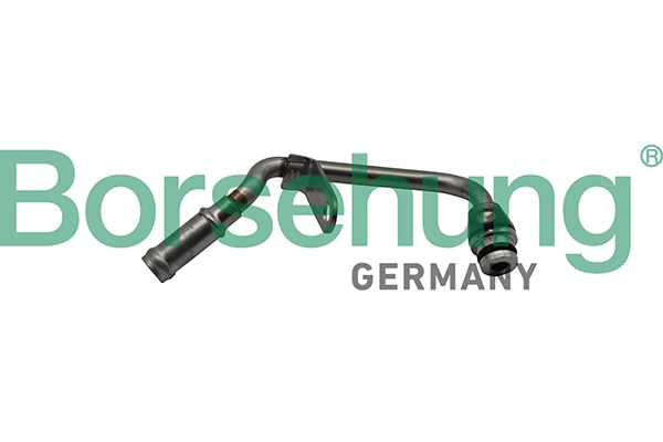B19269 Borsehung