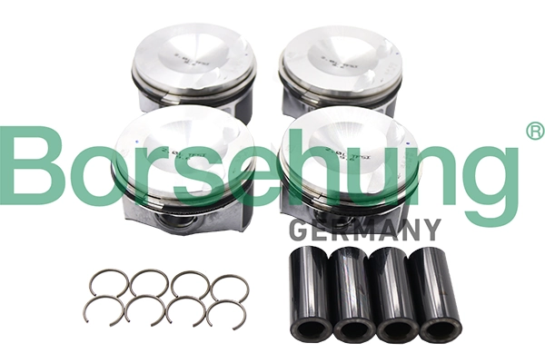 B13574 Borsehung