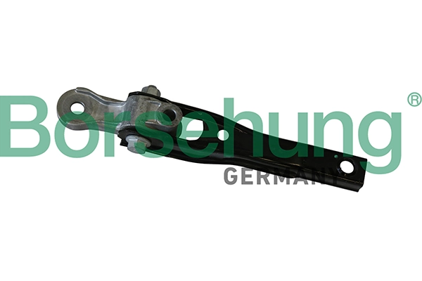 B19304 Borsehung