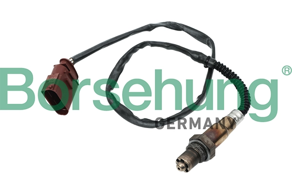 B16929 Borsehung