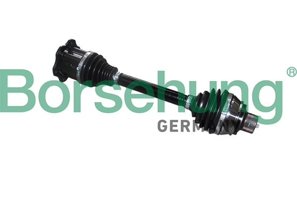 B18377 Borsehung