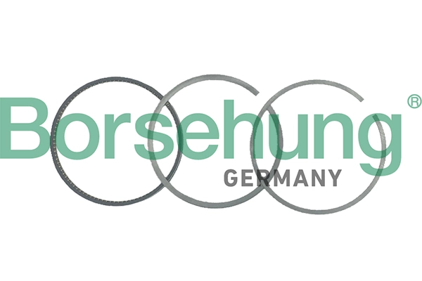 Поршневые кольца на 1 цилиндр, STD на Audi A4 B5 8D2