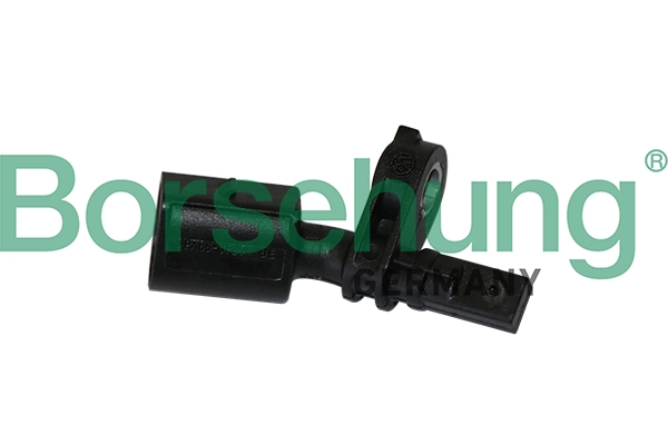 B11845 Borsehung
