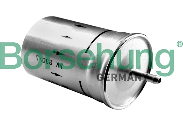 B12794 Borsehung