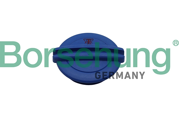 B19281 Borsehung