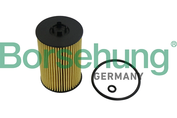 B10532 Borsehung