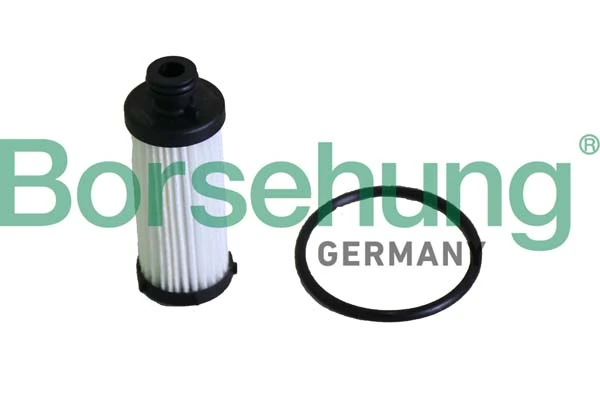 B12287 Borsehung