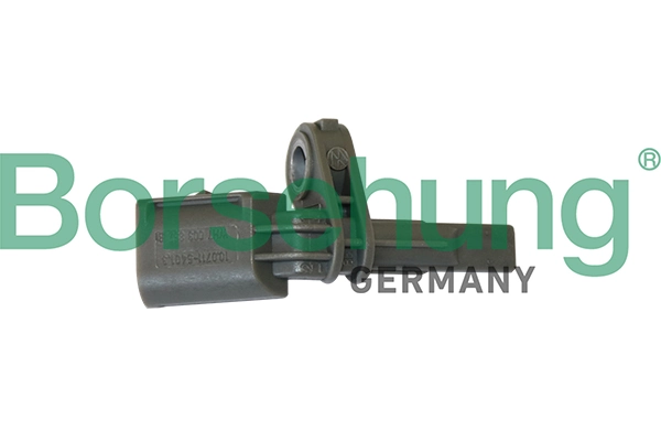 B11849 Borsehung