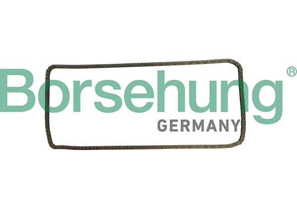 B1C030 Borsehung