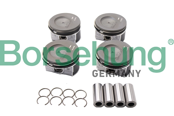 B18740 Borsehung