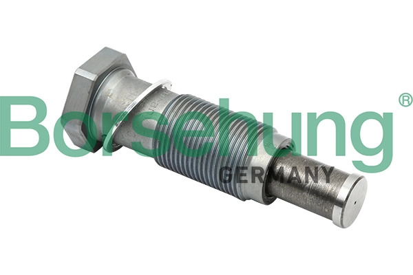 B1T012 Borsehung
