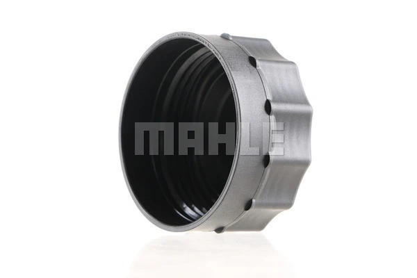  Tampa (tampão) do tanque de expansão Renault Trucks MAGNUM III caminhão trator (2000 - 2005) III