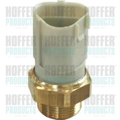 Sensor de temperatura do fluido de esfriamento (de ativação de ventilador do radiador) Skoda Fabia PRAKTIK 