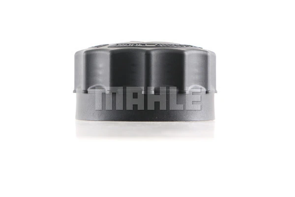 Compre Tampa (tampão) do tanque de expansão Renault Trucks MAGNUM 3