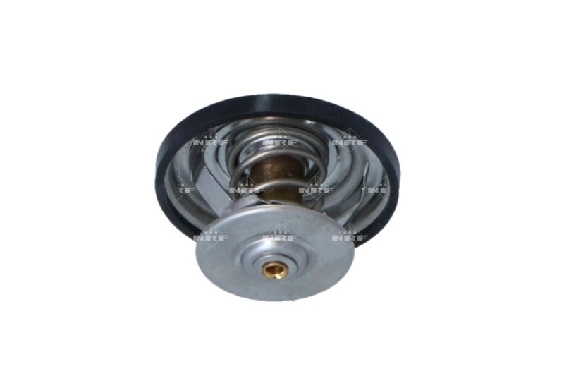 Termostato MAN TGX 1