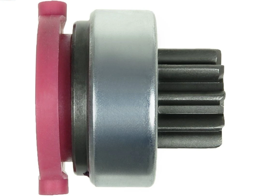 SD1019 As-pl