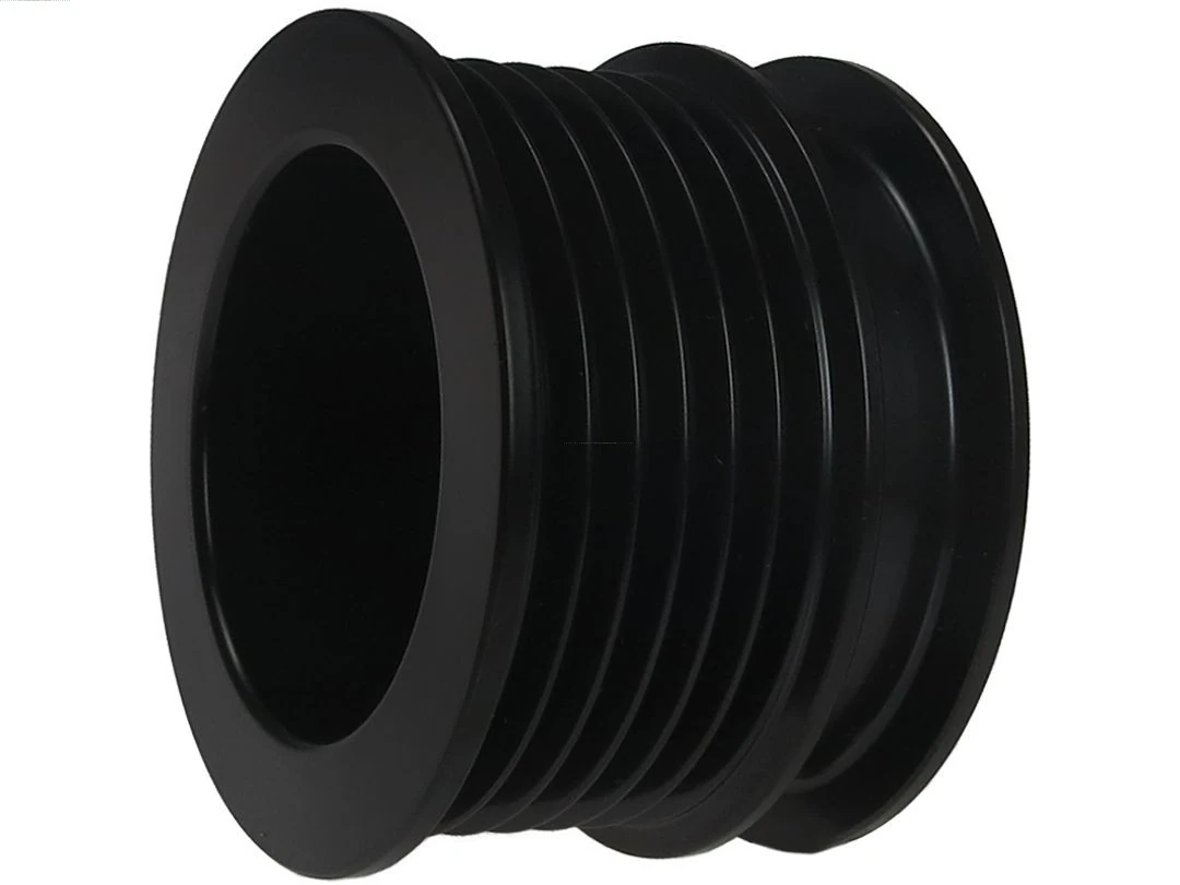 Polia do gerador Renault Scenic 3 JZ0, JZ1