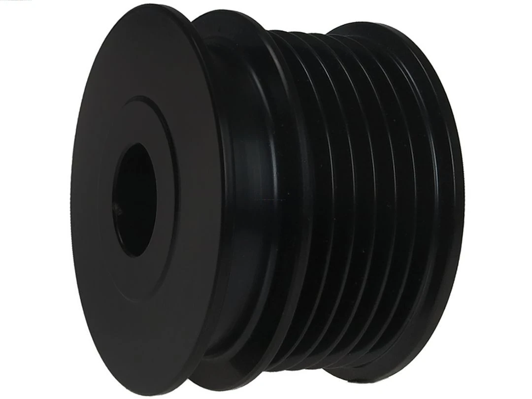 Polia do gerador Renault Scenic 3 JZ0, JZ1