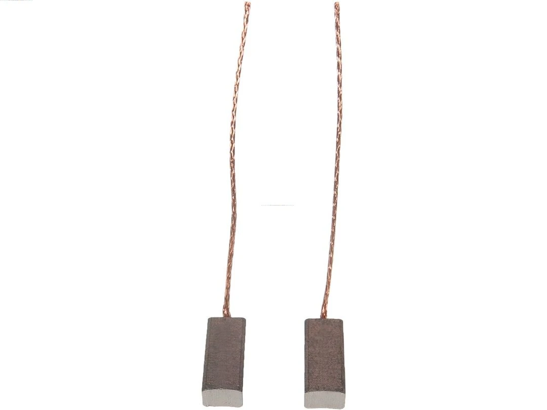 Escova do gerador Renault 21 S48