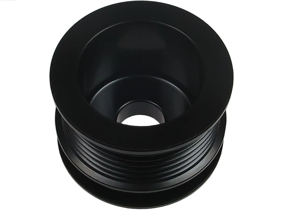 Polia do gerador Renault Scenic 3 JZ0, JZ1