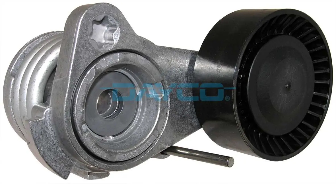 APV2529 Dayco