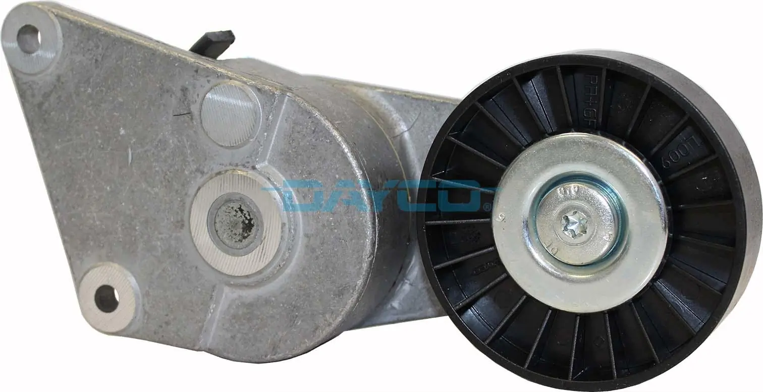 APV1001 Dayco