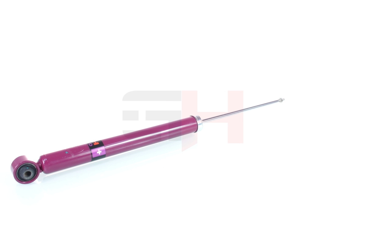 Amortecedor traseiro Ford Fiesta