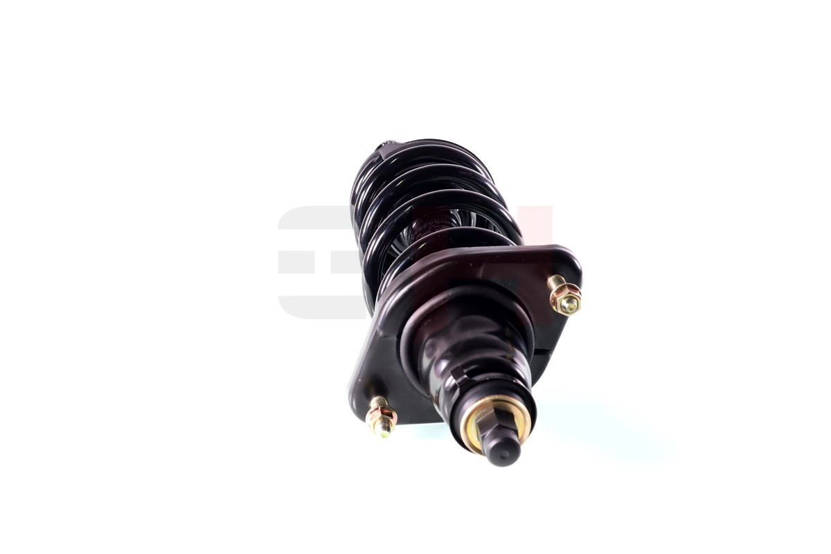 GH332643C01 GH Амортизаторы задние