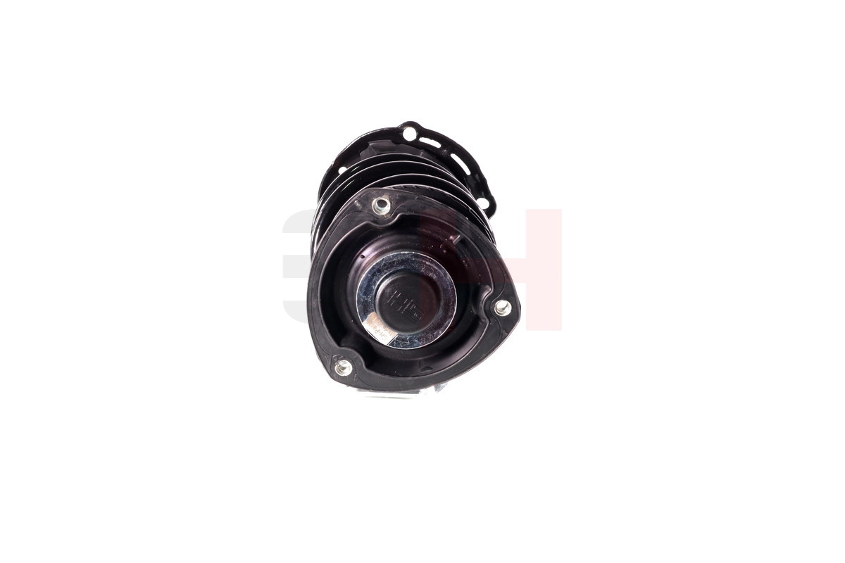 GH359966C02 GH Пружина передней подвески