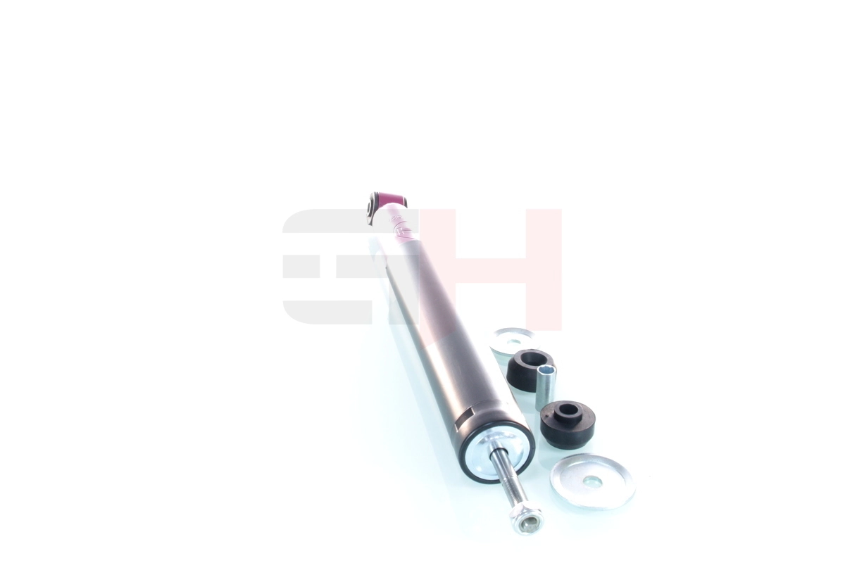 GH303629 GH Амортизаторы задние