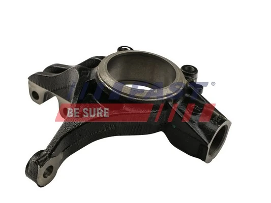 Цапфа (поворотный кулак) передний правый Fast FT13554 цена, от 40.47 USD