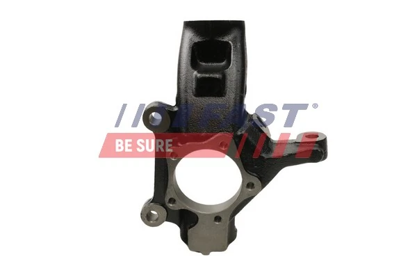 Цапфа (поворотный кулак) передний левый Fase 11705007 цена, от 67.80 USD