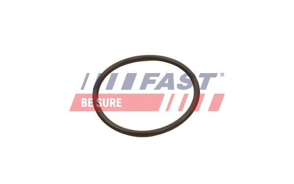 FT49933 Fast Уплотнительное кольцо патрубка интеркуллера